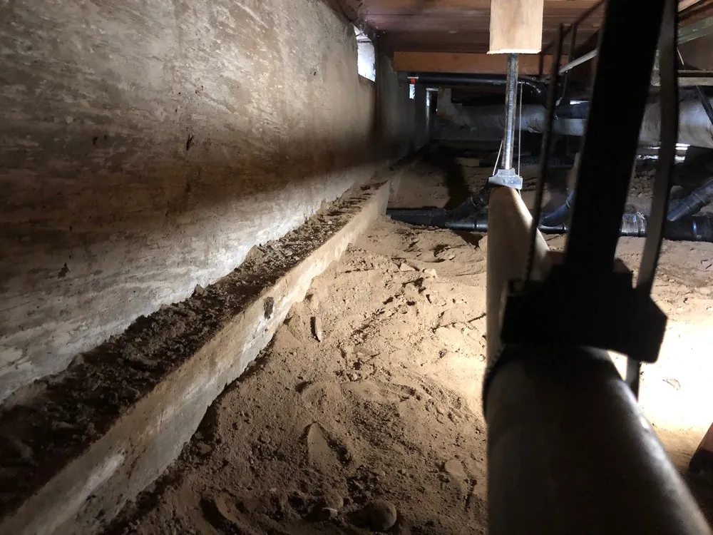 Slide of 24hr Drain Pro