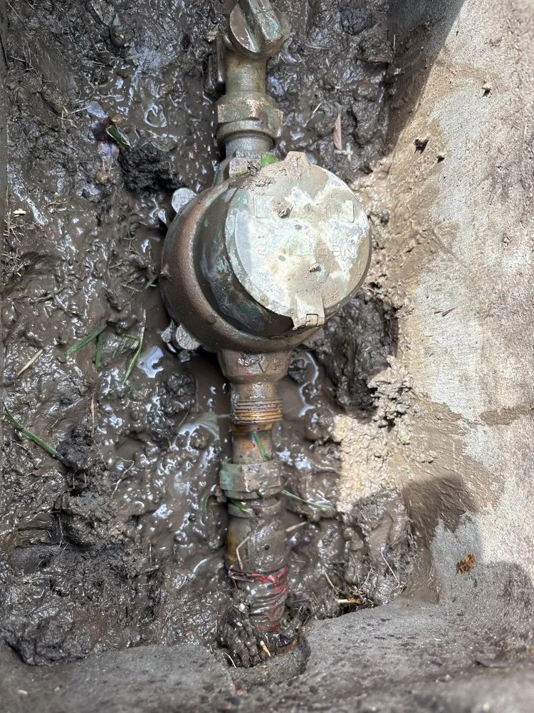 Slide of 24hr Drain Pro