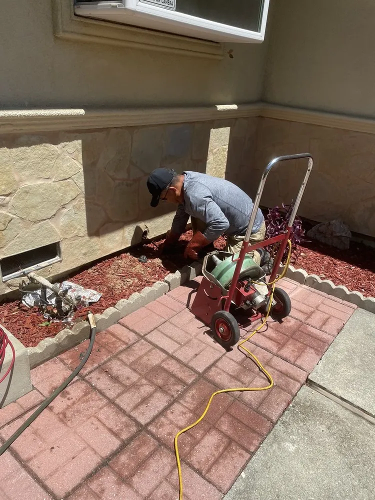 Slide of 24hr Drain Pro