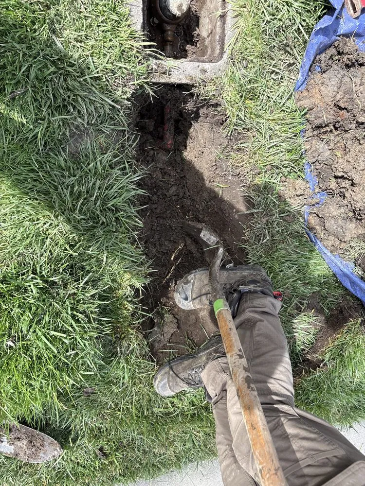 Slide of 24hr Drain Pro