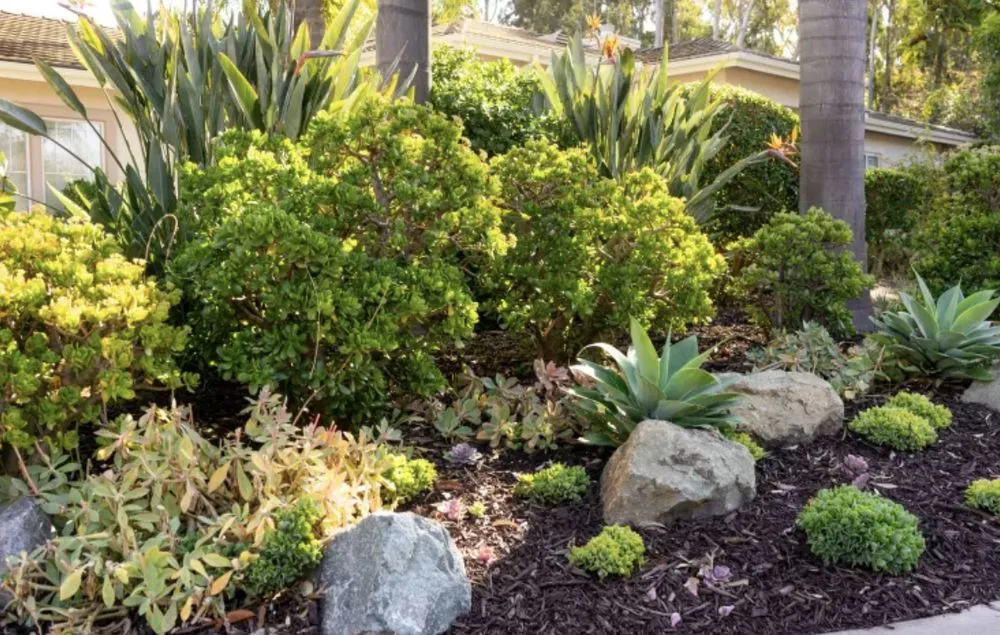 Slide of 2js Maintenance And Lawn Care