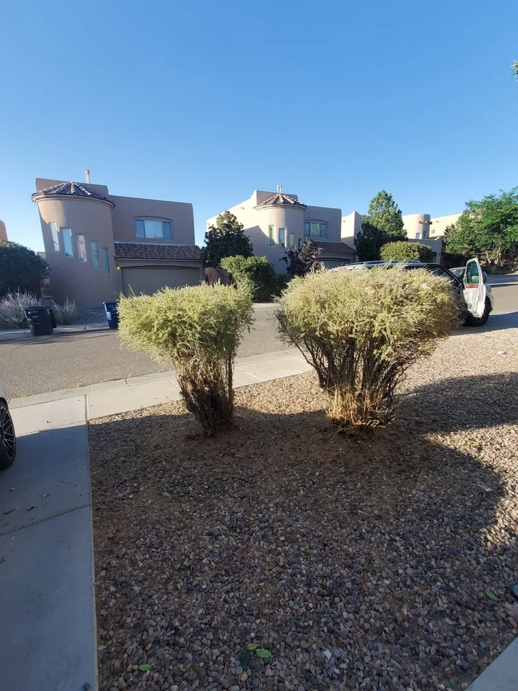 Slide of 2V Services Your Yard And Home Service