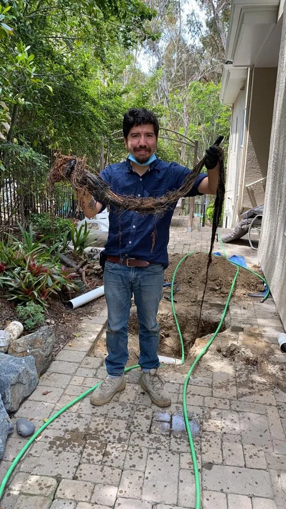 Slide of $35 Drain Cleaning