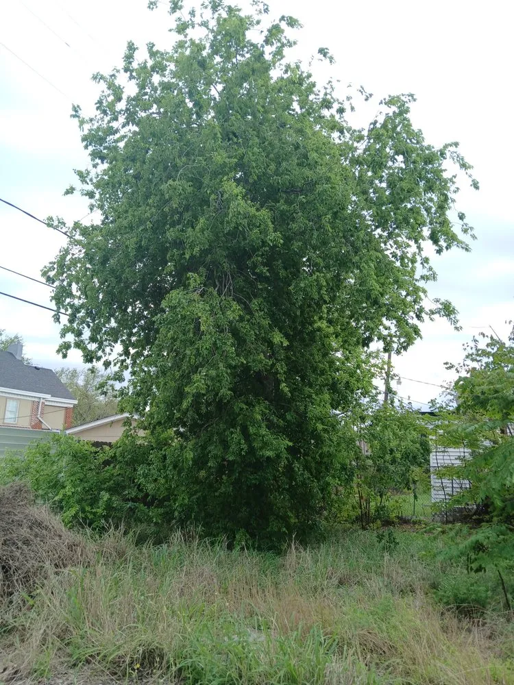 Slide of 361 Handyman Services