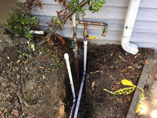 365 Plumbing & Rooter Logo