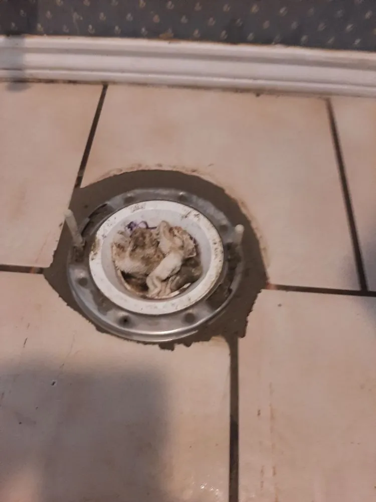 Slide of 3D Plumbing