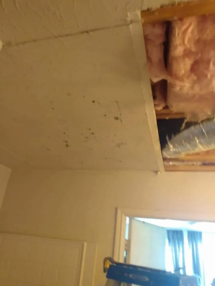 Slide of 3g Pro Services