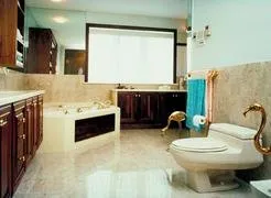 Slide of 4 A Plumber