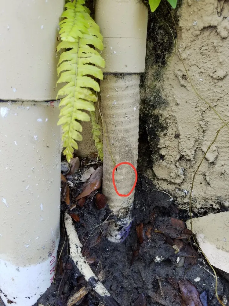 Slide of 4 Star Plumbing Services