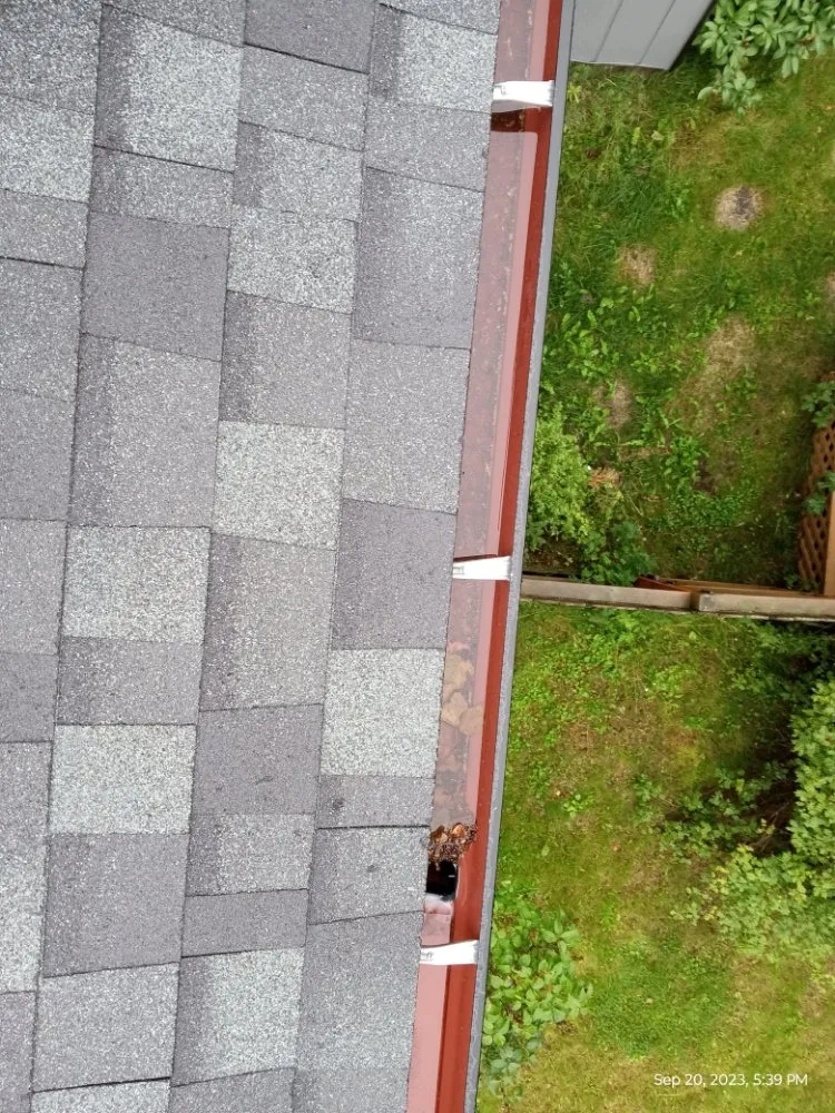 Slide of 49th State Home Repair & Remodeling