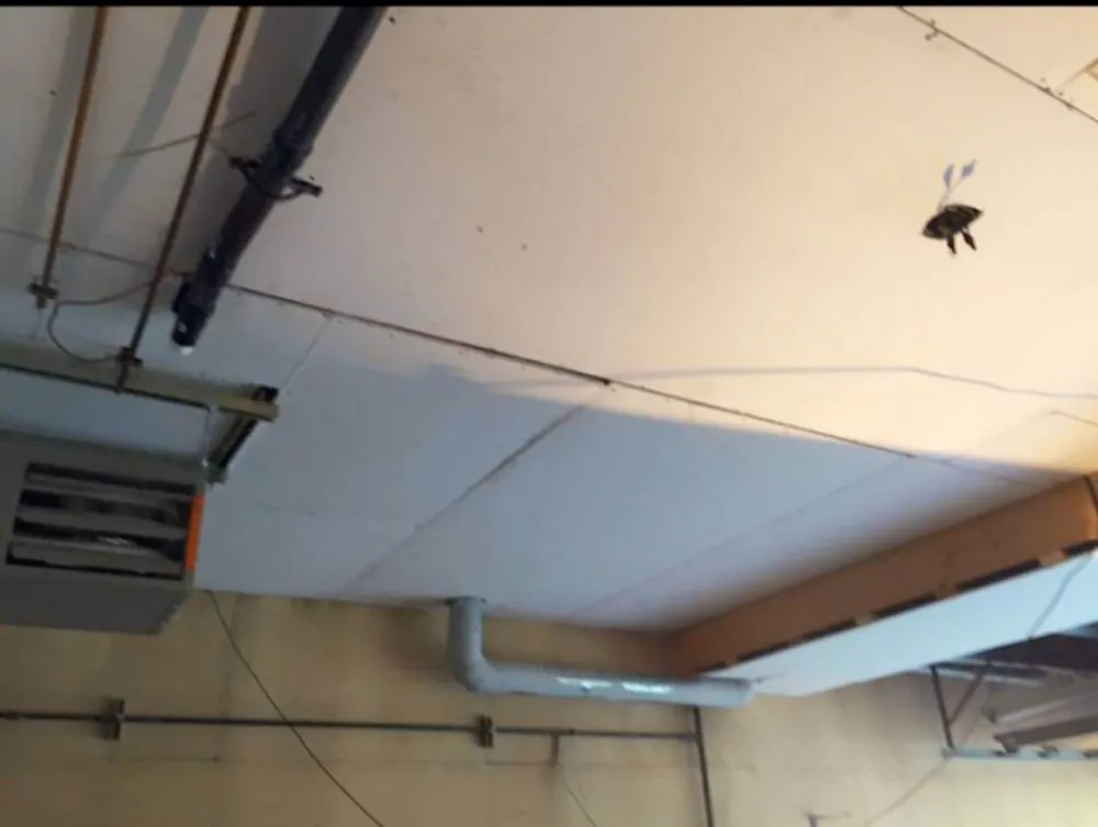 Quality plumbing repair service in Eagle river, AK - 49th State Home Repair & Remodeling