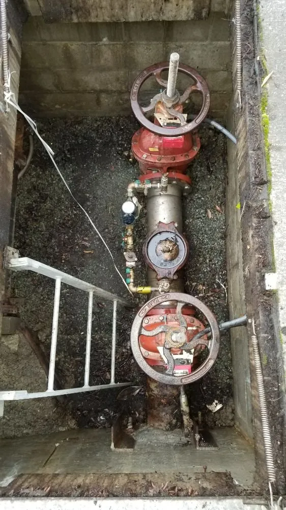 Slide of 5 Star Backflow Services