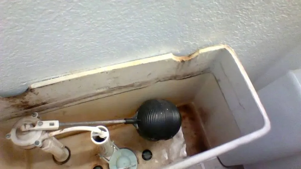 Expert leak detection in Santa Monica, CA by 5 Star Best Plumbing