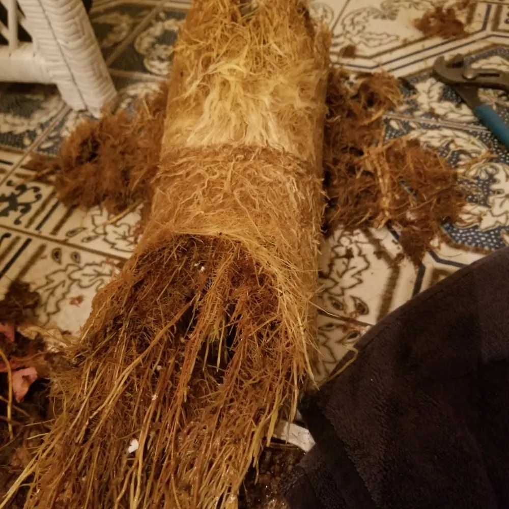 Slide of 5 Star Drain Service