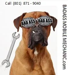 Slide of 5 Star Handyman