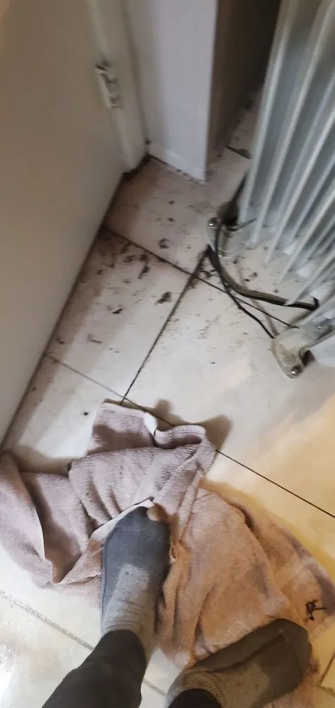 Slide of 5 Star Home Services