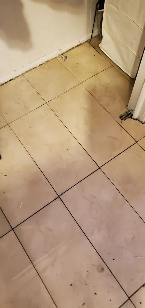 Slide of 5 Star Home Services