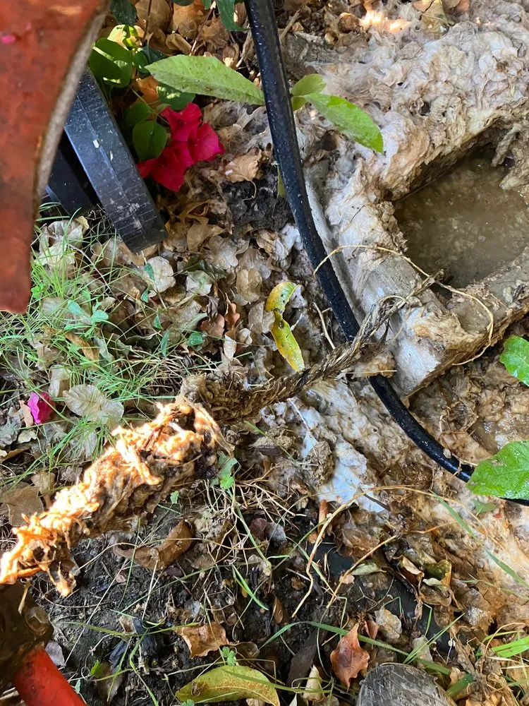 Slide of 5 Star Plumbing