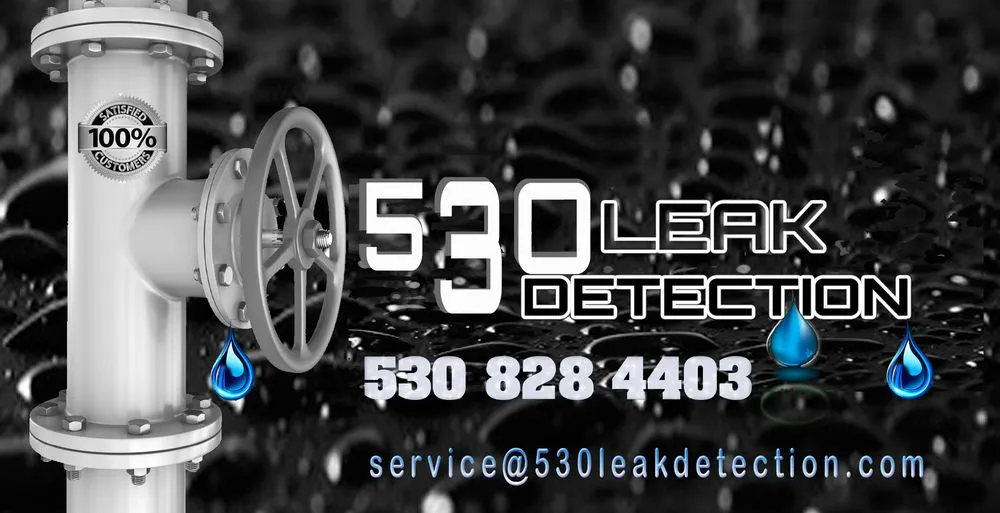 Slide of 530 Leak Detection