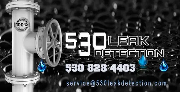 530 Leak Detection Logo