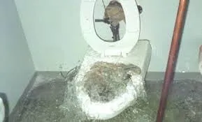 Slide of 5th Ave Plumbing and Heating