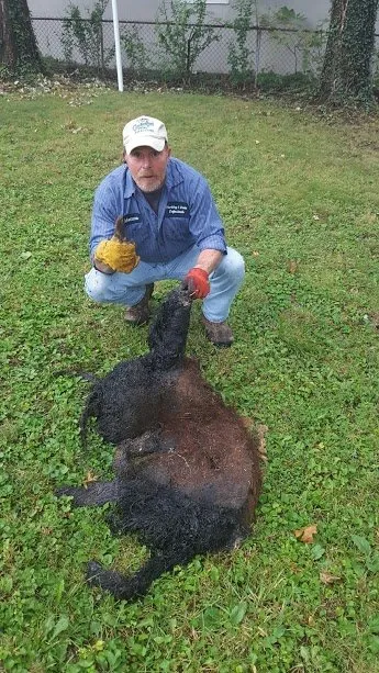 Slide of 614-Plumber