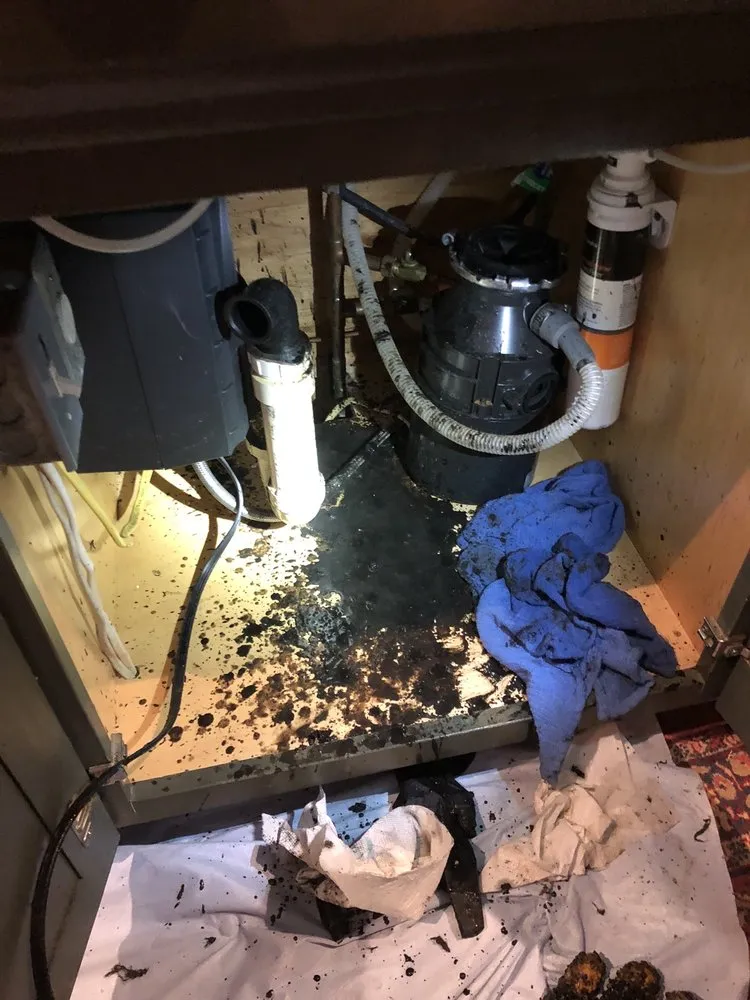 Slide of 703 Plumbers