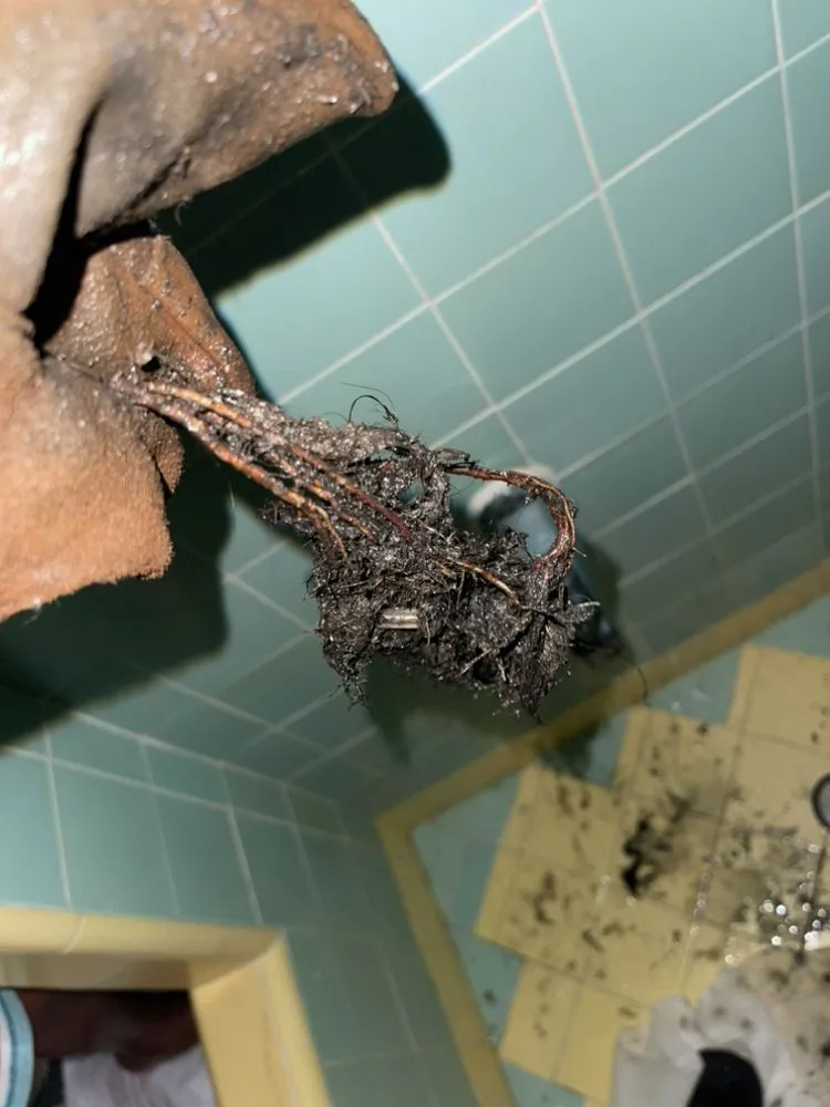 Slide of 808 Drain Cleaners