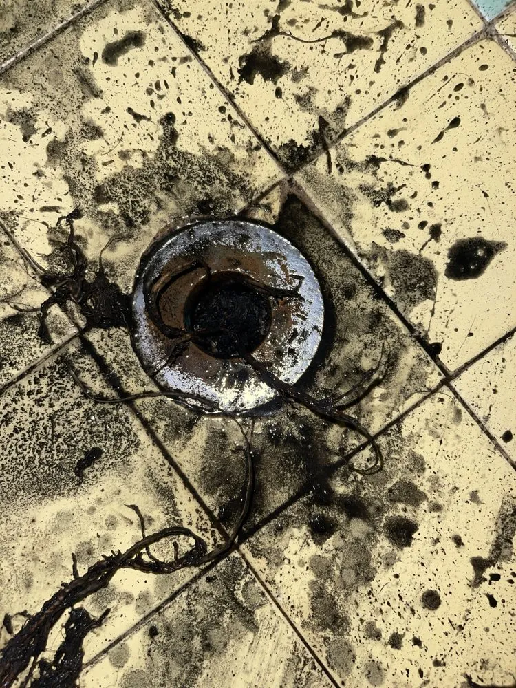 Slide of 808 Drain Cleaners