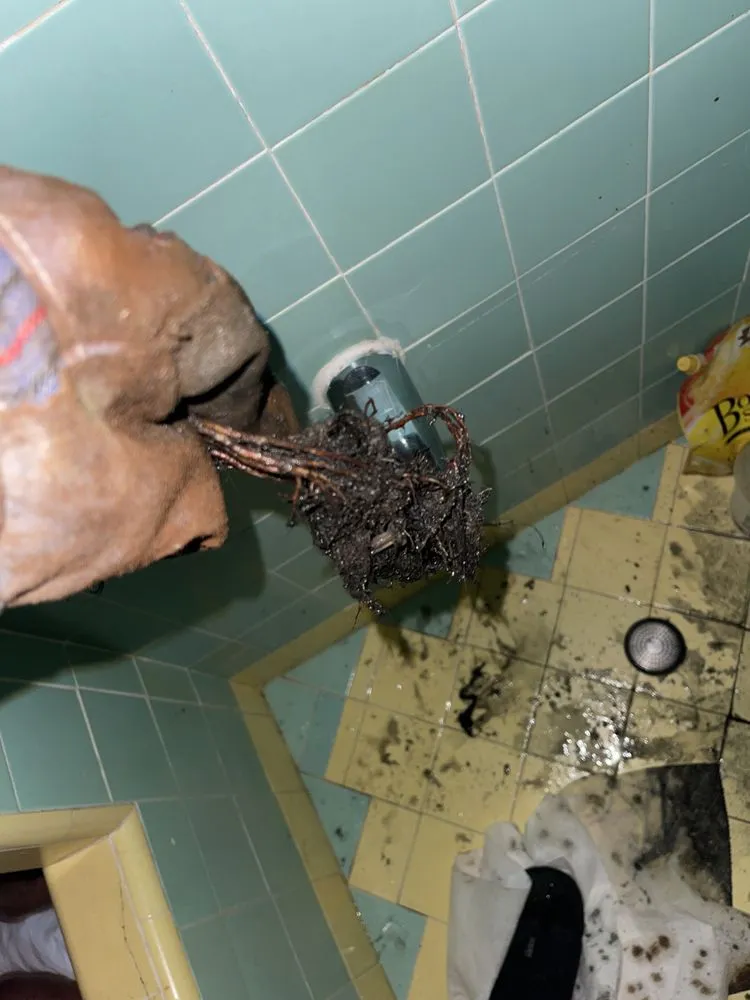 Slide of 808 Drain Cleaners