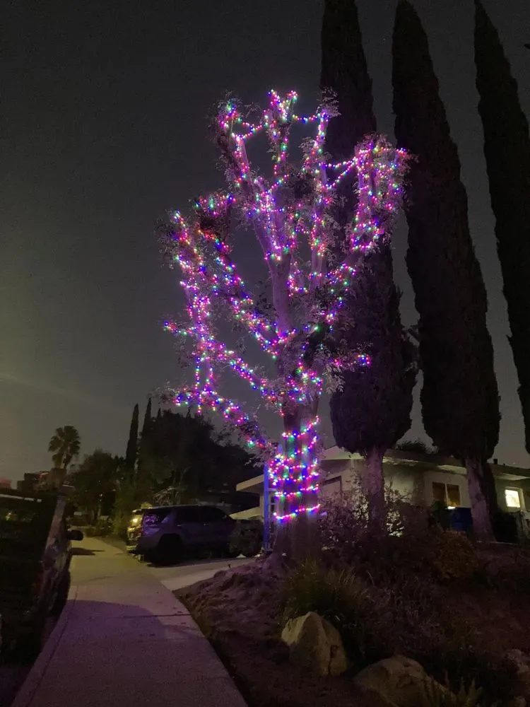 Slide of 818 Handyman