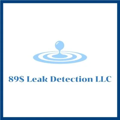 Slide of 89$ Leak Detection