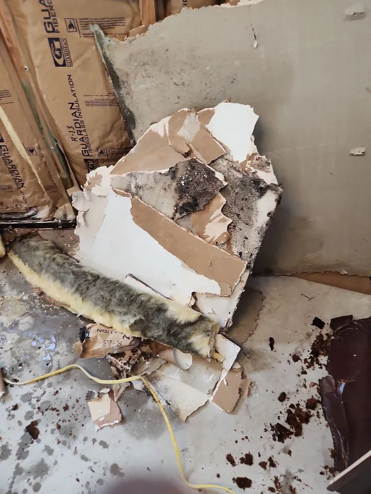 Slide of 911 Floods R Us