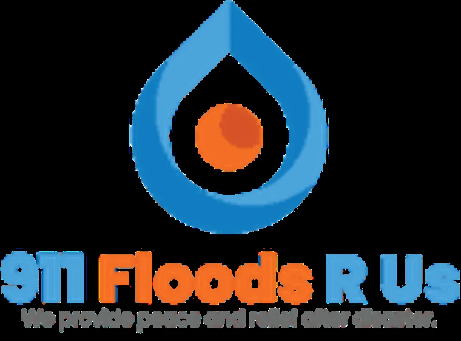 Slide of 911 Floods R Us