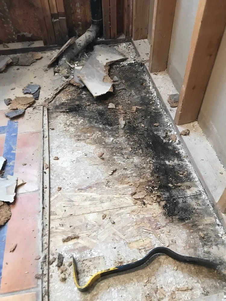 Reliable plumbing repair service in Carson City, NV - 911 Restoration of Carson City