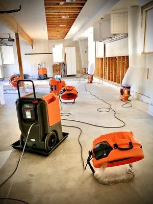 911 Restoration of Carson City