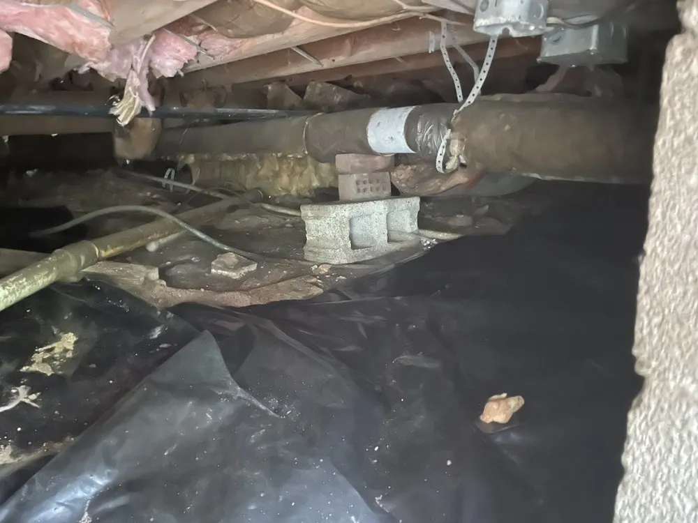 Reliable leak detection for homes in Newport News, VA by 911 Restoration of Virginia Peninsula