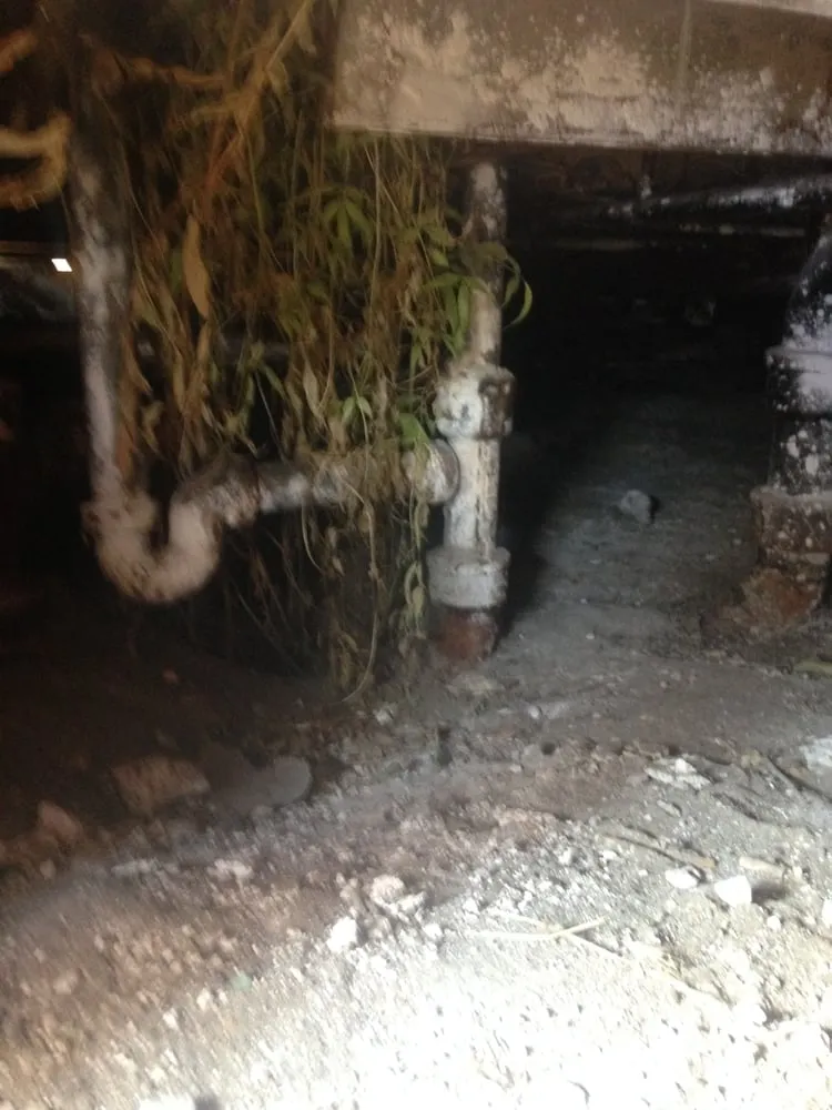 Quality pipe repair experts serving Fort Worth, TX - A & D Plumbing & Water Heater