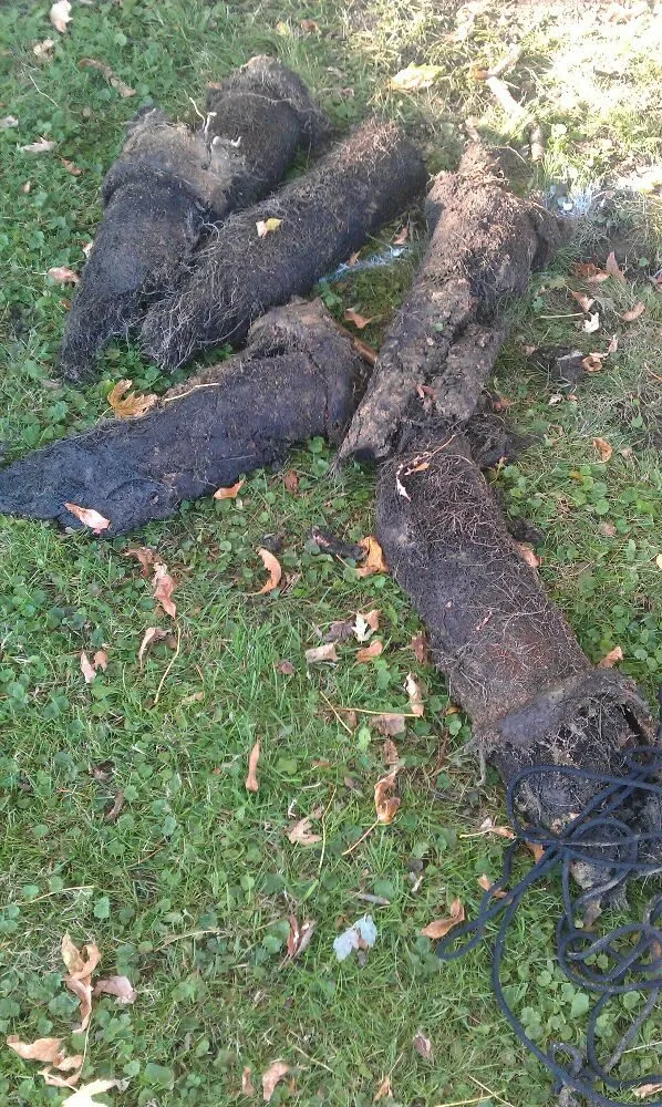 Slide of A-1 Drain Cleaning