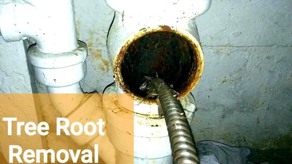 Slide of A-1 Drain Cleaning