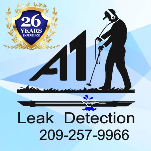 Slide of A-1 Leak Detection