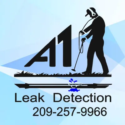 A-1 Leak Detection