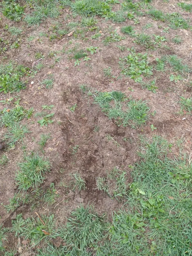 Slide of A-1 Plumbing & Emergency Rooter