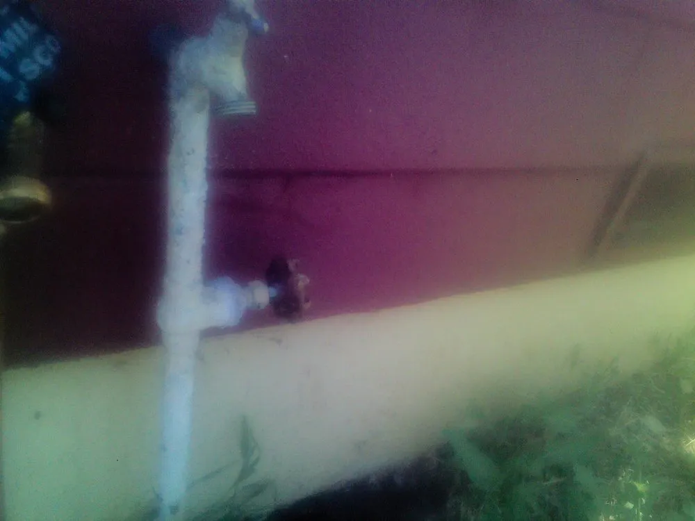 Slide of A-1 Rapid Rooter