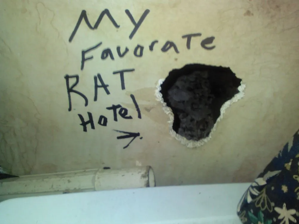 Slide of A-1 Rapid Rooter