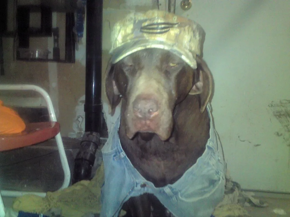 Slide of A-1 Rapid Rooter