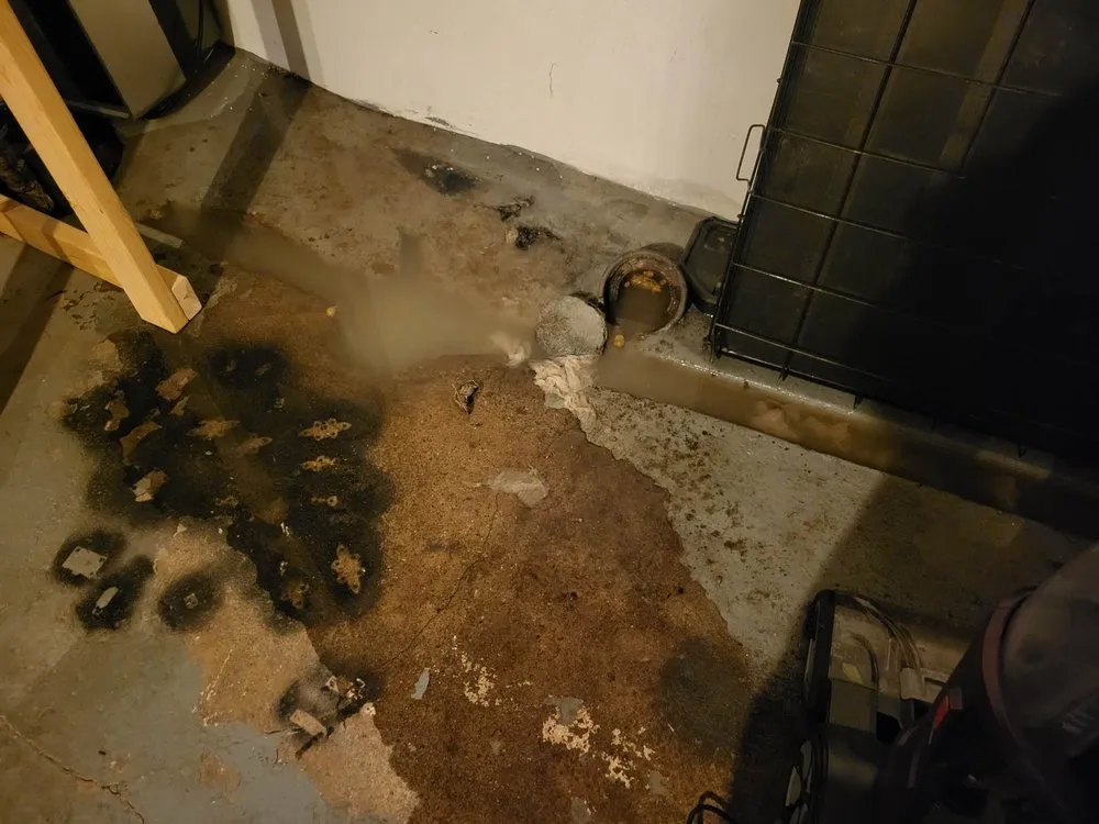 Slide of A-1 Sanitary Sewer & Drain Service