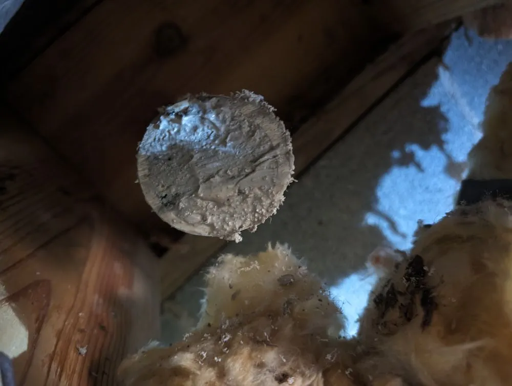 Slide of A 1 Super Rooter