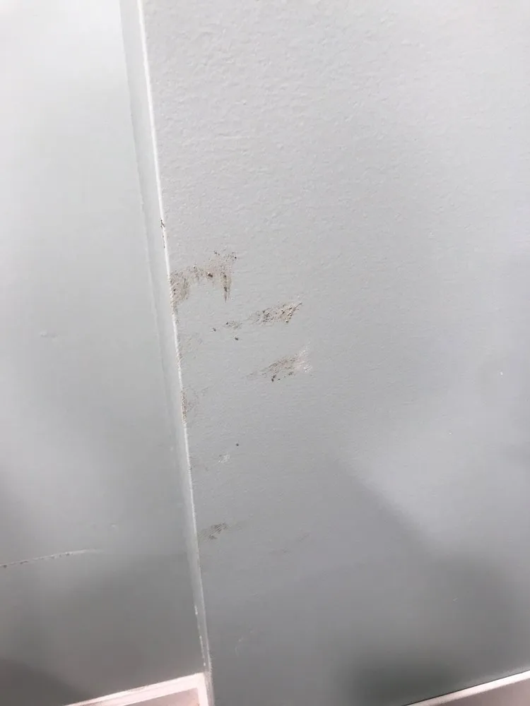 Slide of A 49.95 Any Sewer or Drain