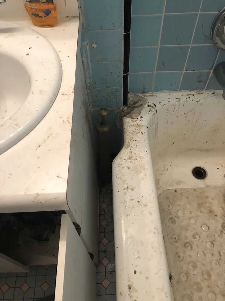 Quality plumbing repair for homes in Jamaica, NY by A 49.95 Any Sewer or Drain